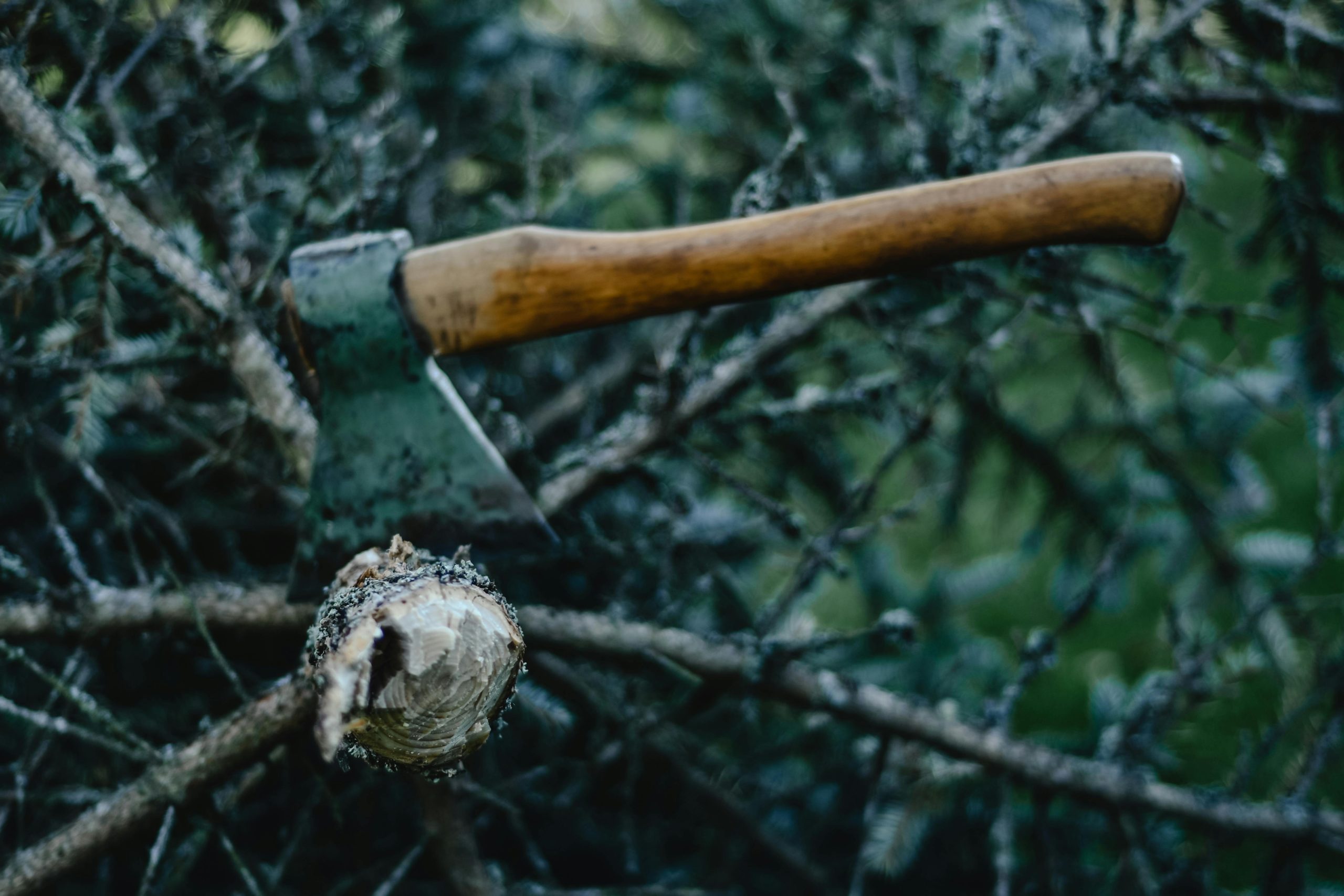weaponary; tools for survival (2)