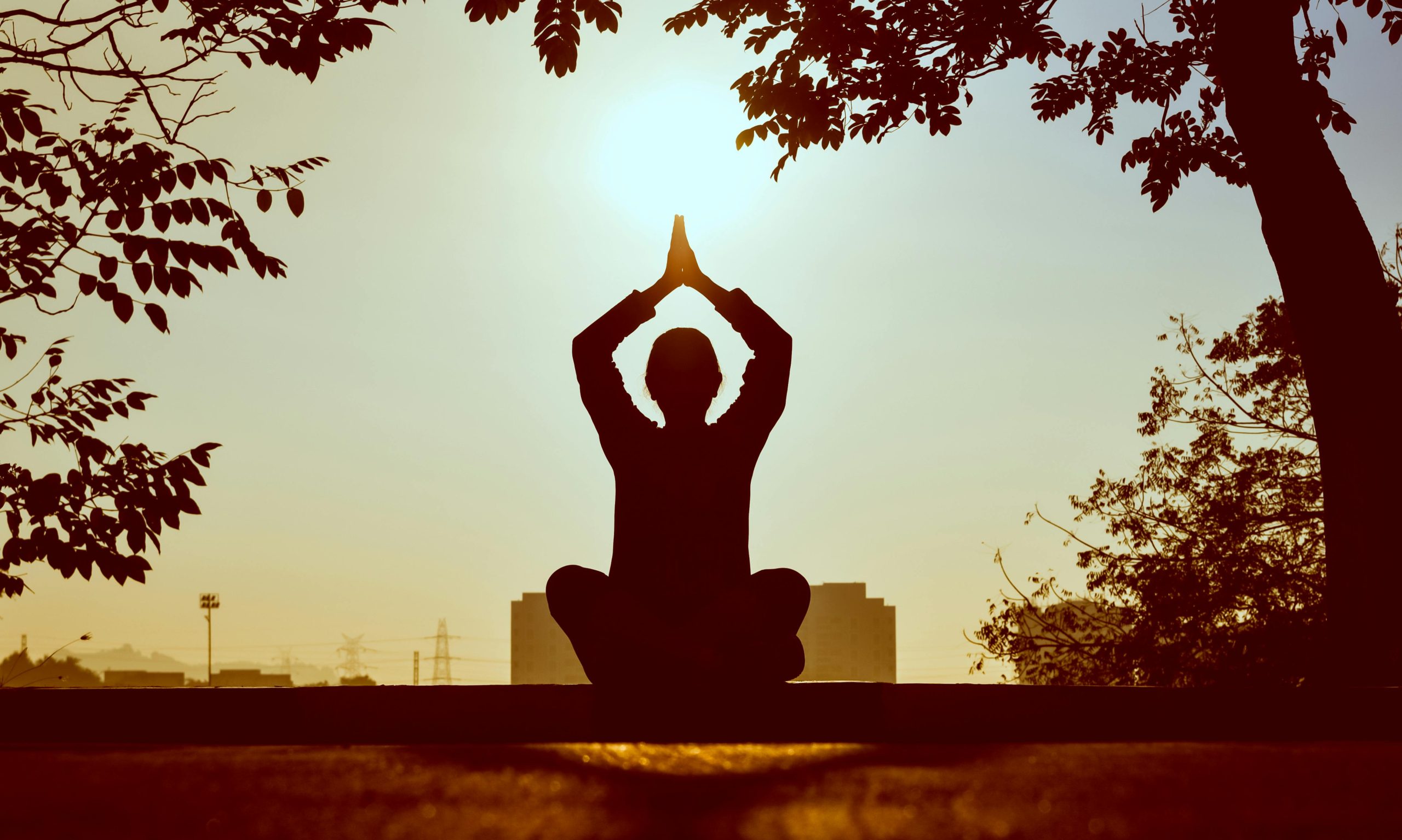 mental health in crisis (4)